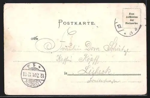 Lithographie Mayrhofen, Ortsansicht, Gruss von der Fernfahrt in Tirol in Hamburg