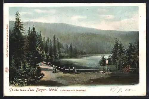 AK Arber, Arbersee mit Seewand