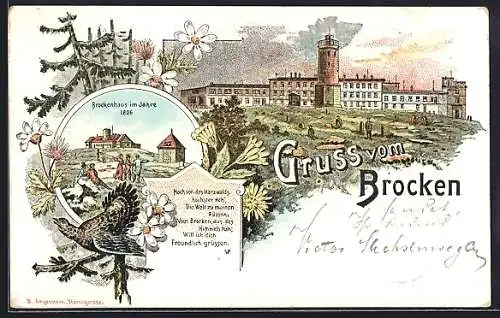 Lithographie Brocken, Brocken-Hotel, Aussichtsturm