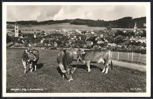 AK Wangen i. Allg., Blick v. Dürrenberg