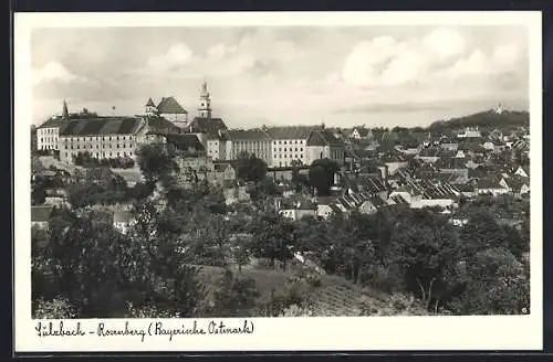 AK Sulzbach-Rosenberg, Stadtansicht mit Schloss und Kirche