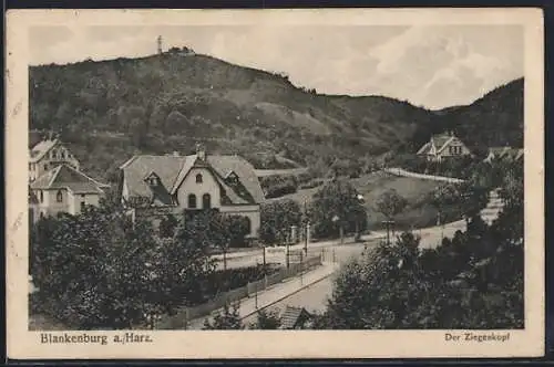 AK Blankenburg a. Harz, Der Ziegenkopf