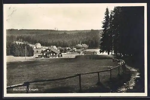 AK Steinbach i. Erzgeb., Ortsansicht mit Wiesen