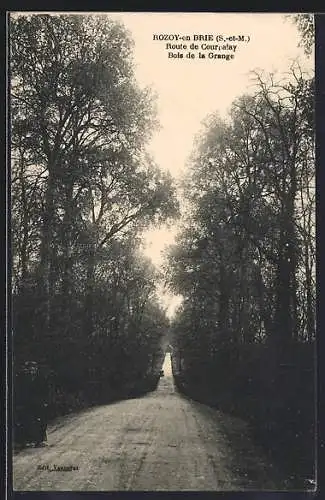 AK Rozoy-en-Brie /S.-et-M., Route de Courpalay, Bois de la Grange