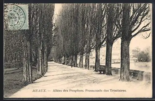 AK Meaux, Allées des Peupliers, Promenade des Trinitaires