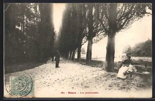 AK Meaux, Les promenades