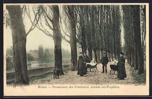AK Meaux, Promenade des Trinitaires, Avenue des Peupliers