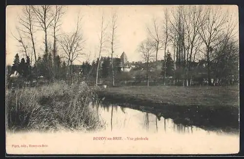 AK Rozoy-en-Brie, Vue générale