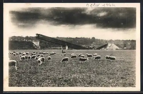AK Melun /S.-et-M., Le Pont de Charrettes avec troupeau de moutons, août 1944
