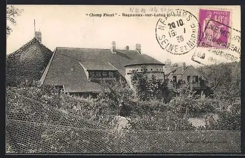 AK Bagneux-sur-Loing, Champ Fleuri vue des bâtiments entourés de verdure