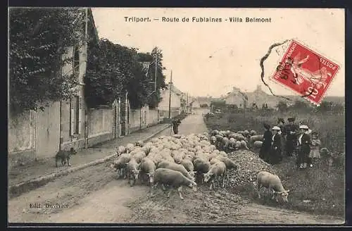 AK Trilport, Route de Fublaines, Villa Belmont, troupeau de moutons sur le chemin