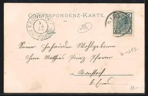 AK Garsten /O.-Oe., Mühlbach, Gschnaidtners Gasthaus, Kapelle, Schule