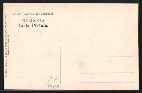 AK Campina, Schela Bucea, Erdöl