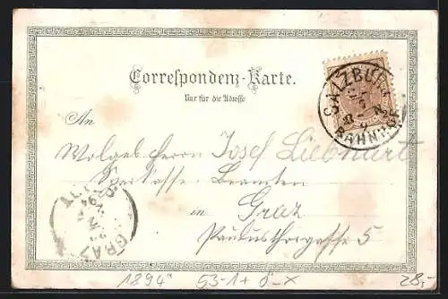 Vorläufer-Lithographie Salzburg, 1894, Stadtpanorama mit Festung