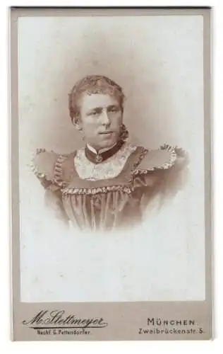 Fotografie M. Stettmeyer, München, Zweibrückenstr. 5, Porträt einer Dame im eleganten Kleid