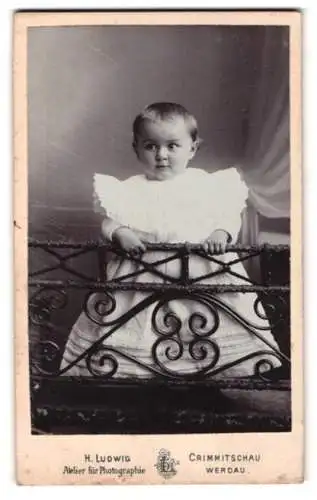 Fotografie H. Ludwig, Crimmitschau, Lindenstrasse, Kleinkind an schmiedeeisernem Geländer