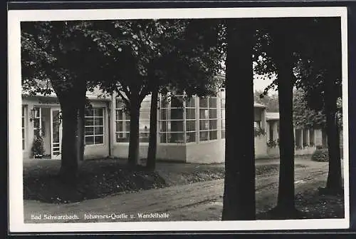 AK Bad Schwarzbach, Johannes-Quelle und Wandelhalle
