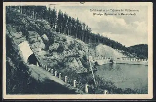 AK Goldentraum, Spitztunnel an der Talsperre, Einziger Spitztunnel in Deutschland