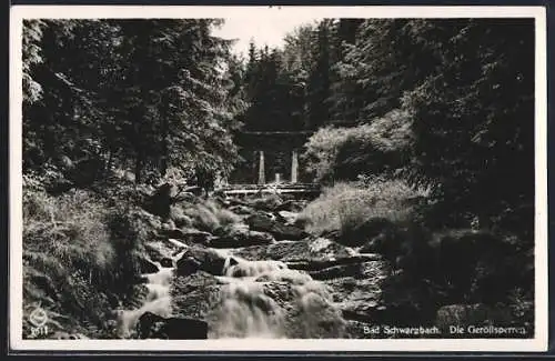 AK Bad Schwarzbach /Isergebirge, Gebirgsbach mit Geröllsperren