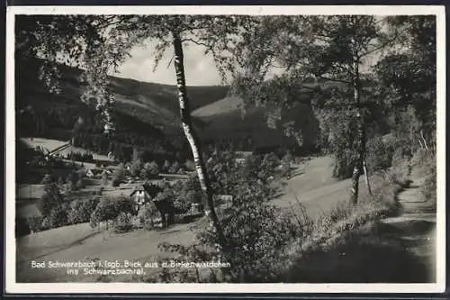 AK Bad Schwarzbach i. Isgb., Blick aus dem Birkenwäldchen ins Schwarzbachtal