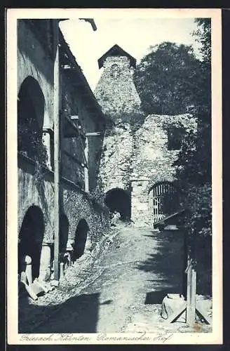 AK Friesach /Kärnten, Romanischer Hof