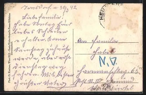 AK Zwentendorf a. d. Donau, Strassenpartie im Villenviertel