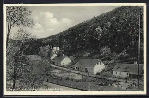 AK Furth an der Triesting, Rohrbach bei Neuhaus, Strassenpartie mit Bäumen