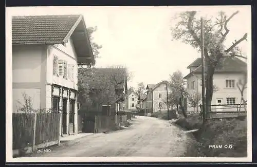 AK Pram /O. Ö., Strassenpartie mit Bäumen
