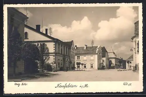 AK Neufelden i. M., Strassenpartie mit Bäumen