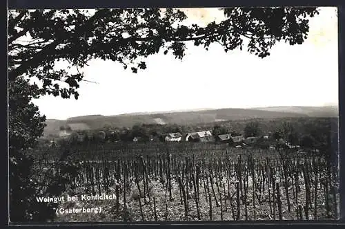 AK Kohfidisch /Csaterberg, Weingut mit Blick auf den Ort