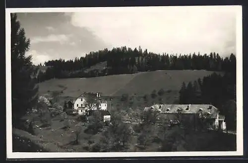 AK Bad St. Leonhard im Lavanttal, Sauerbrunn Preblau