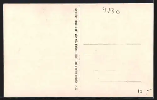 AK Waizenkirchen /O. Ö., Strassenpartie mit Kirche