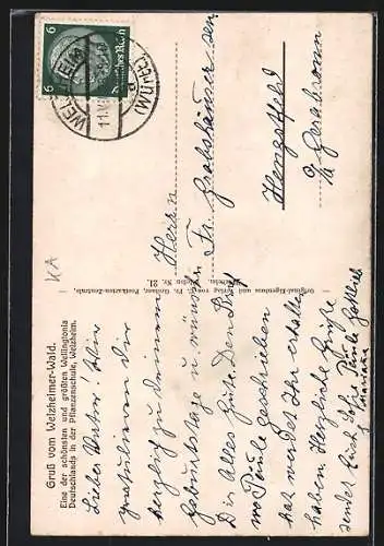 AK Welzheim / Württ., Weizheimer Wald