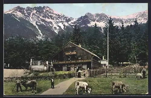 AK Innsbruck, Gasthof Frau Hitt am Gramartboden, Kühe