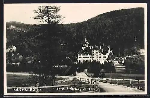 AK Semmering, Ortspartie mit Palace-Sanatorium, Hotel Erzherzog Johann u. Strasse