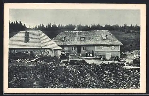 AK Trattenbach /N.-Oe, Kranichberger-Schwaig am Wechsel, Gebäudeansicht