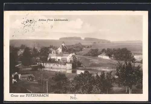 AK Kirchstetten /N.-Oe., Totzenbach, Schloss Fürst Liechtenstein