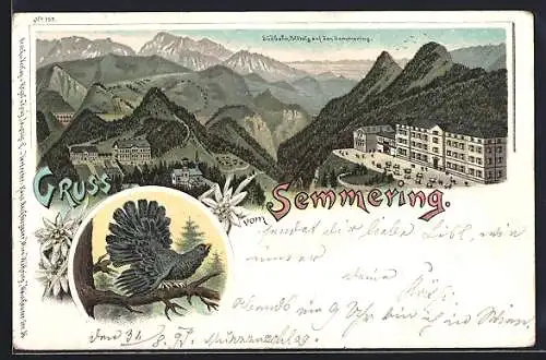 Lithographie Semmering, Südbahnhotel, Auerhahn