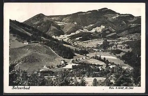 AK Kleinzell /N.-Oe., Salzerbad und Umgebung aus der Ferne