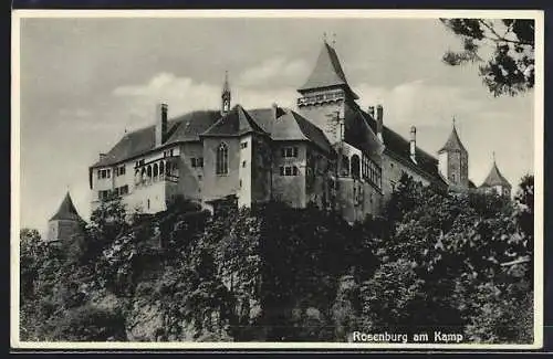 AK Rosenburg am Kamp, Blick auf die Burg