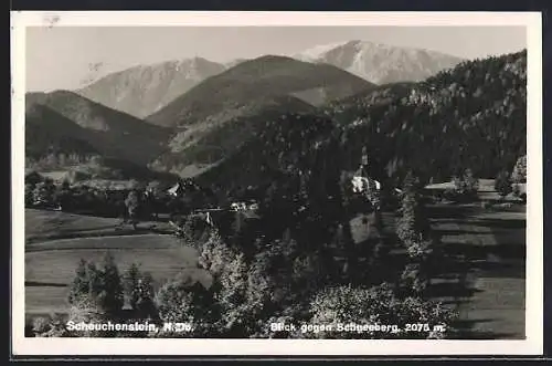AK Scheuchenstein, Blick gegen Schneeberg