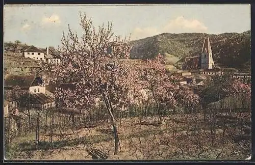 AK Weissenkirchen i. d. Wachau, Teilansicht mit Kirche