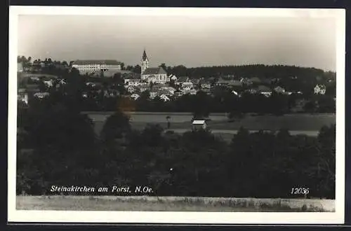 AK Steinakirchen am Forst, Ortsansicht mit Kirche