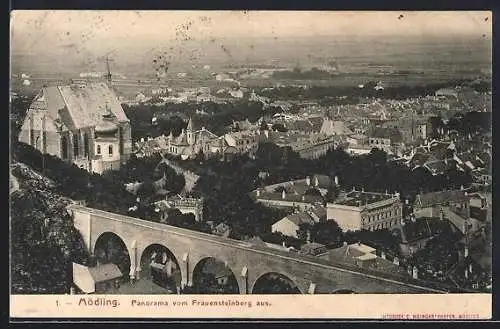 AK Mödling, Panorama vom Frauensteinberg aus