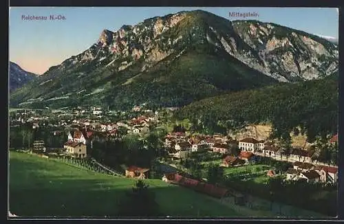 AK Reichenau /N.-Oe., Ortsansicht mit Mittagstein