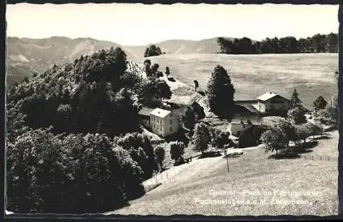 AK Puchenstuben a. d. M. Zellerbahn, Gasthof-Pension Fahrngruber
