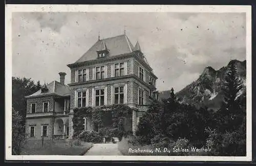 AK Reichenau /N. D., Schloss Wartholz
