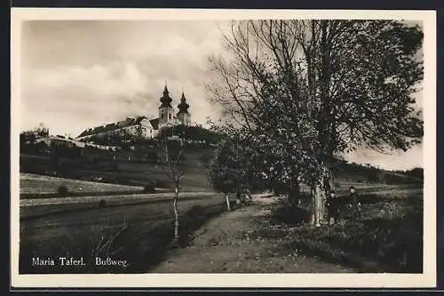 AK Maria-Taferl, Wallfahrtskirche mit Bussweg