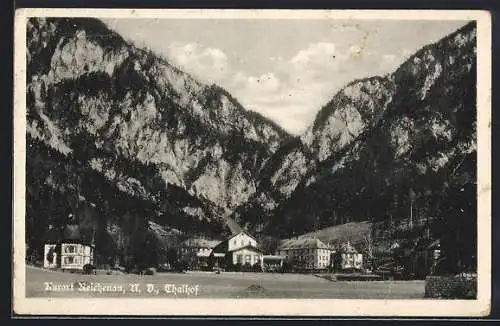 AK Reichenau an der Rax, Teilansicht mit Thalhof
