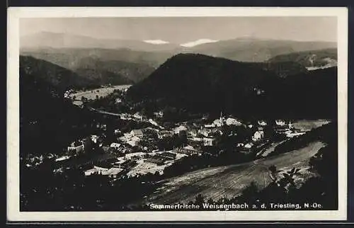 AK Weissenbach a. d. Triesting, Ortsansicht gegen die Berge